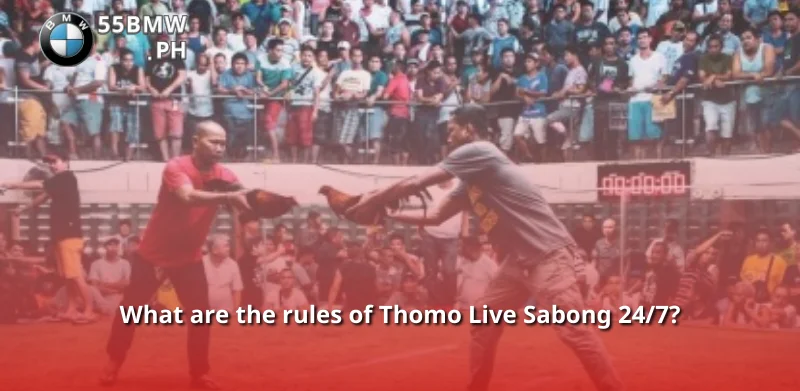 What are the rules of Thomo Live Sabong 24/7?