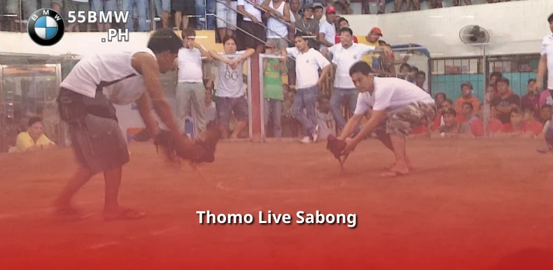 Thomo Live Sabong