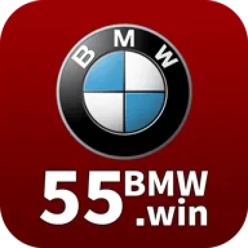 Favicon Logo 55BMW