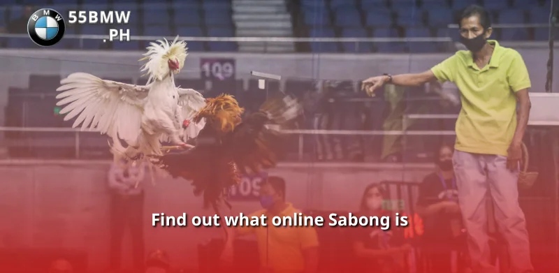 Find out what online Sabong is