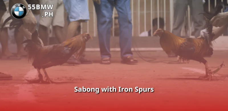 Sabong with Iron Spurs