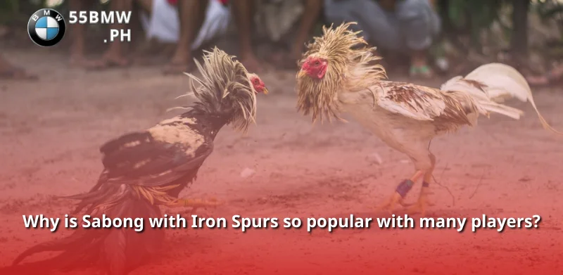 Why is Sabong with Iron Spurs so popular with many players?